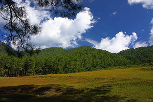 数码设计与摄影社区的交融 开启视觉创作新纪元